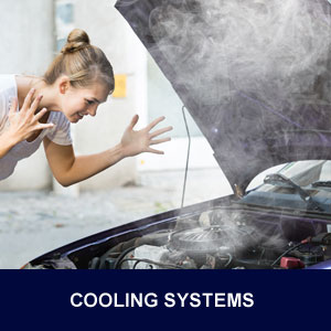 Fleet Services Cooling System Service Repair St Pete